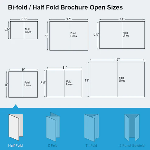 Bi-fold-or-Half-Fold-Brochure-Open-Sizes