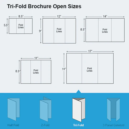 Tri-Fold-Brochure-Open-Sizes