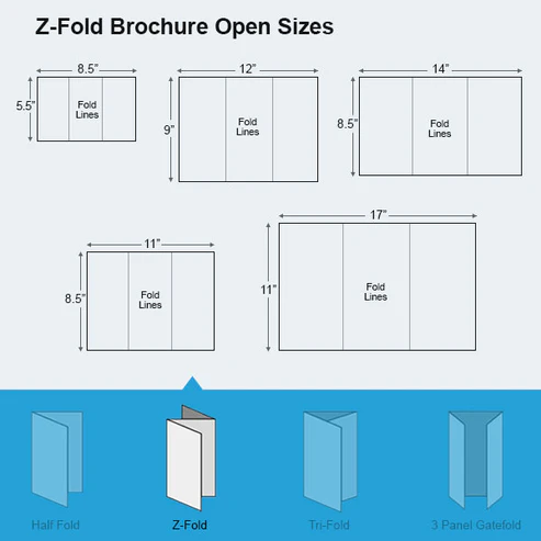 Z-Fold-Brochure-Open-Sizes (1)