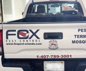 Car_Bumper_Sticker_Printing_In_Orlando_Florida