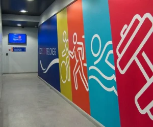 Wall Decals printing in Orlando